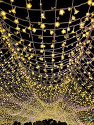 東京メガイルミに投稿された画像(2025/12/13)