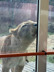 多摩動物公園に投稿された画像(2025/12/14)