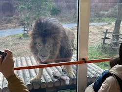 多摩動物公園に投稿された画像(2025/12/14)