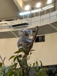 多摩動物公園に投稿された画像(2025/12/14)