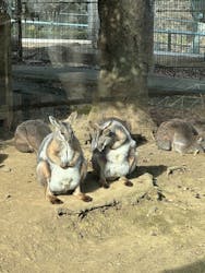 多摩動物公園に投稿された画像(2025/12/14)