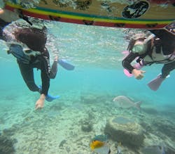 沖縄マリンサービス碧に投稿された画像(2025/12/14)