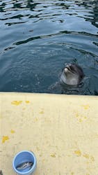 伊豆・三津シーパラダイスに投稿された画像(2025/12/14)