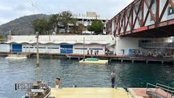 伊豆・三津シーパラダイスに投稿された画像(2025/12/14)