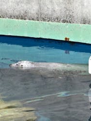 しながわ水族館に投稿された画像(2025/12/14)