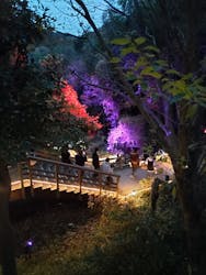 ニジゲンノモリに投稿された画像(2025/12/14)