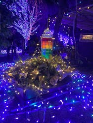 江の島シーキャンドルに投稿された画像(2025/12/14)