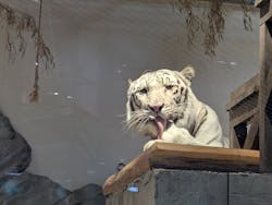 NIFREL(ニフレル)に投稿された画像(2025/12/14)