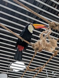 NIFREL(ニフレル)に投稿された画像(2025/12/14)