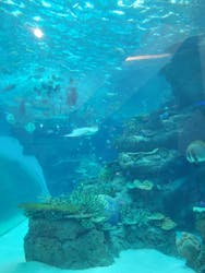 名古屋港水族館に投稿された画像(2025/12/14)