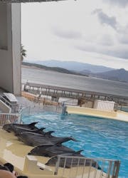 マリンワールド海の中道に投稿された画像(2025/12/14)