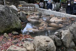 伊豆シャボテン動物公園に投稿された画像(2025/12/14)