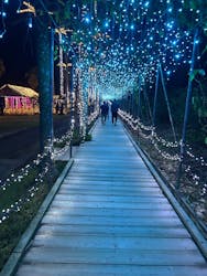 美らヤシパークオキナワ・東南植物楽園に投稿された画像(2025/12/14)