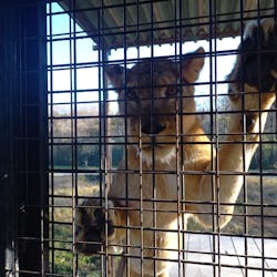 那須サファリパークに投稿された画像(2025/12/14)