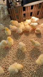 Moff アニマル カフェ イーアス 高尾店に投稿された画像(2025/12/15)