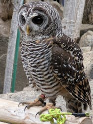 伊豆シャボテン動物公園に投稿された画像(2025/12/15)