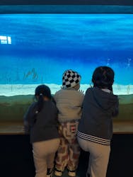 大分マリーンパレス水族館 「うみたまご」に投稿された画像(2025/12/15)
