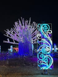 ラグーナテンボス ラグナシアに投稿された画像(2025/12/15)