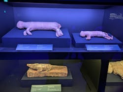 ACN ラムセス大王展 ファラオたちの黄金に投稿された画像(2025/12/15)