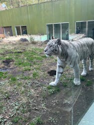 伊豆アニマルキングダムに投稿された画像(2025/12/15)