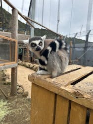 伊豆アニマルキングダムに投稿された画像(2025/12/15)