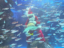 サンシャイン水族館に投稿された画像(2025/12/15)