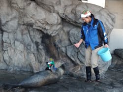 しながわ水族館に投稿された画像(2025/12/16)