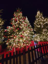 Christmas Market in 横浜赤レンガ倉庫 2025に投稿された画像(2025/12/16)