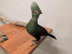 アニタッチ 東京ドームシティに投稿された画像(2025/12/16)