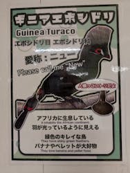 アニタッチ 東京ドームシティに投稿された画像(2025/12/16)