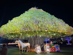 東京メガイルミに投稿された画像(2025/12/16)