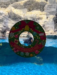 アクアワールド茨城県大洗水族館に投稿された画像(2025/12/16)
