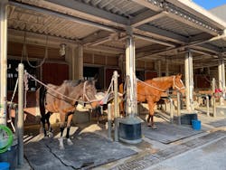 MIKIホーストレックに投稿された画像(2025/12/16)