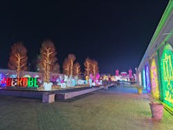 神戸イルミナージュに投稿された画像(2025/12/16)