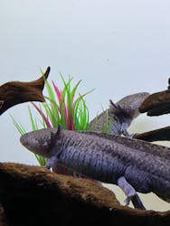 サンシャイン水族館に投稿された画像(2025/12/16)