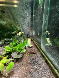 サンシャイン水族館に投稿された画像(2025/12/16)