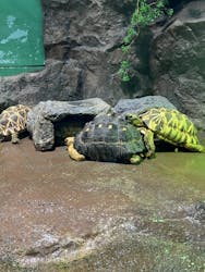 サンシャイン水族館に投稿された画像(2025/12/16)