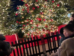 Christmas Market in 横浜赤レンガ倉庫 2025に投稿された画像(2025/12/16)