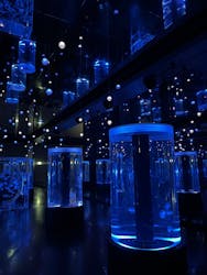 マクセル アクアパーク品川に投稿された画像(2025/12/16)