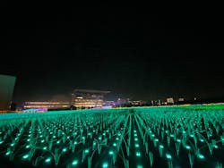 東京メガイルミに投稿された画像(2025/12/16)