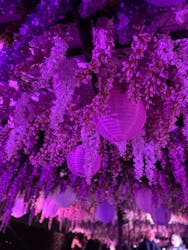 東京メガイルミに投稿された画像(2025/12/16)