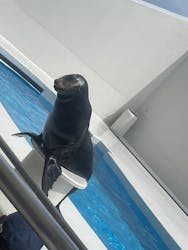 鴨川シーワールドに投稿された画像(2025/12/17)