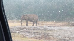 秋吉台自然動物公園 サファリランドに投稿された画像(2025/12/17)