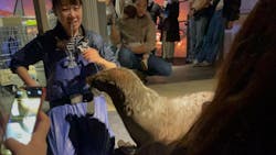 すみだ水族館に投稿された画像(2025/12/17)