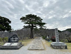 今帰仁城跡に投稿された画像(2025/12/17)