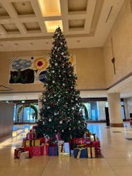 ヒルトン小田原リゾート&スパに投稿された画像(2025/12/17)