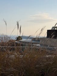 ヒルトン小田原リゾート&スパに投稿された画像(2025/12/17)