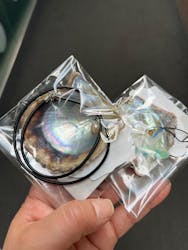 九十九島水族館海きららに投稿された画像(2025/12/17)