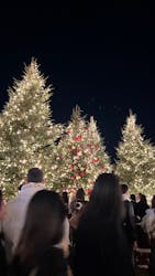 Christmas Market in 横浜赤レンガ倉庫 2025に投稿された画像(2025/12/17)