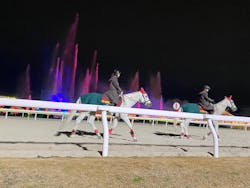 東京メガイルミに投稿された画像(2025/12/17)